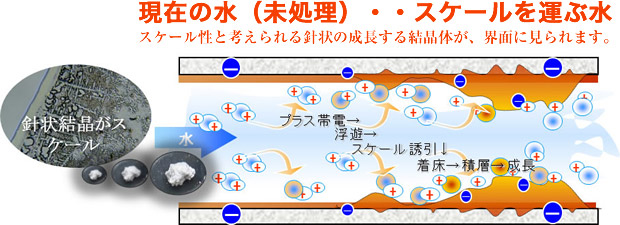 現在の水（未処理）・・スケールを運ぶ水